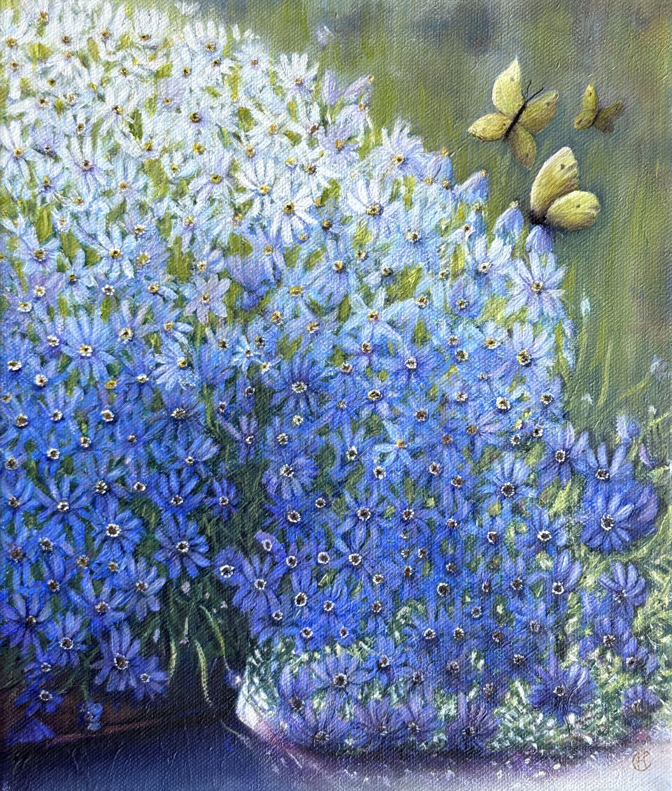 Daises and Brimstone Butterflies by Cheri Hunston