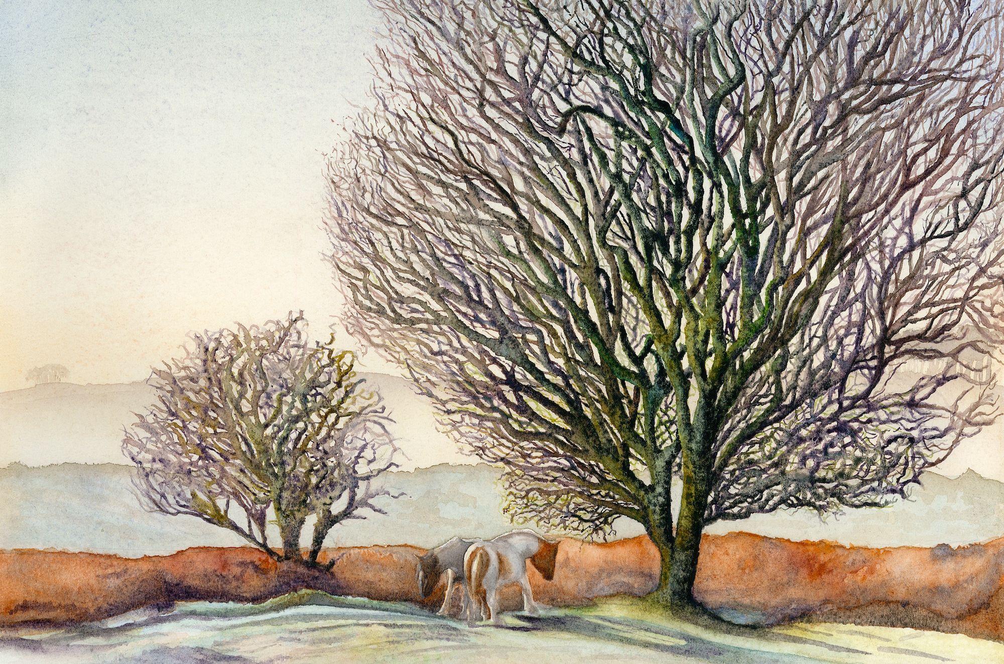 Roborough Down & Dartmoor Ponies by Cheri Hunston 150 copy